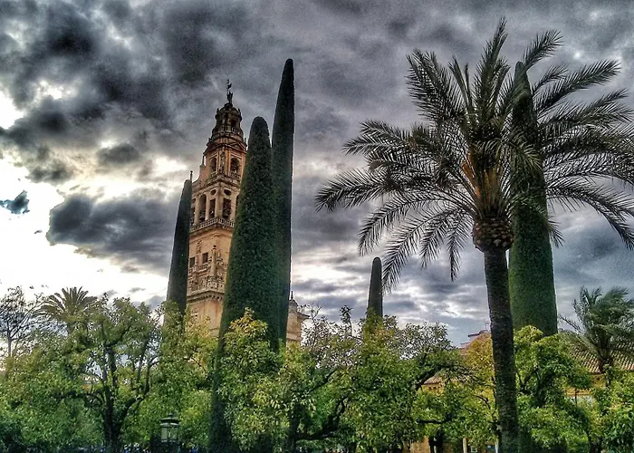 Rosmarinus Centro